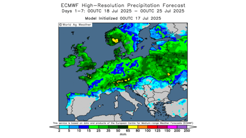 Des pluies favorables sont annoncées durant les sept prochains jours.