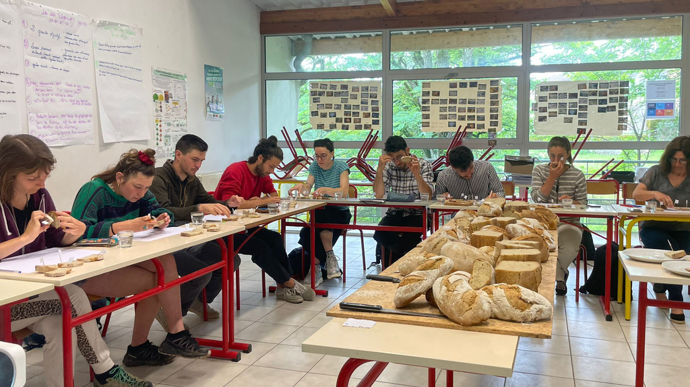 Dans le Tarn, des pains aux farines de blé et de légumineuses en test - Actualités