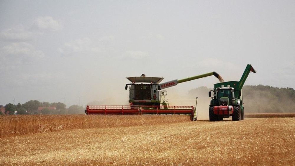 La question : qui va acheter la récolte 2025 à l'export ?