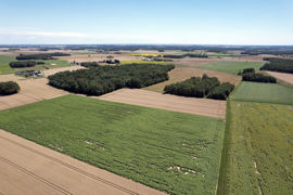 Un indivisaire peut vendre sa part à un autre indivisaire, à un enfant ou à un tiers.