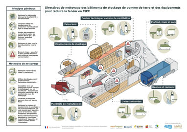 Recommandations de nettoyage des bâtiments de stockage de pomme de terre et des équipements pour réduire la teneur en CIPC