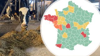 Épizooties vectorielles : point de situation en cartes Épizooties vectorielles : point de situation en cartes