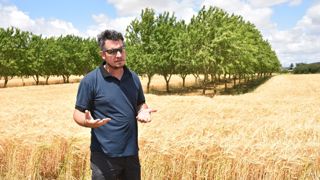 Anthony Frison à Boynes croit en l’avenir de l’arbre dans la Beauce. Une façon de valoriser les grandes étendues et l’irrigation. Anthony Frison à Boynes croit en l’avenir de l’arbre dans la Beauce. Une façon de valoriser les grandes étendues et l’irrigation.