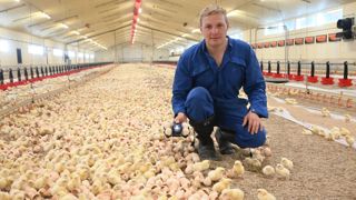 « Cette solution permet de répondre à une demande sociétale d’animaux nés et élevés à la ferme », apprécie Gaëtan Leligois.