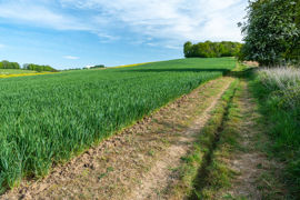 L’existence d’une servitude de passage n’interdit pas nécessairement au propriétaire du fonds qui subit le passage de se clore. L’existence d’une servitude de passage n’interdit pas nécessairement au propriétaire du fonds qui subit le passage de se clore.