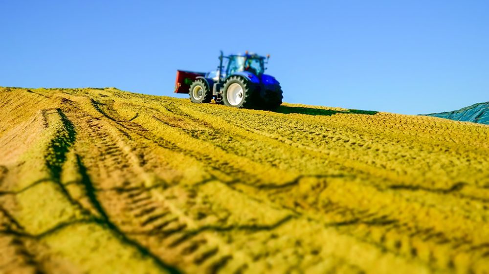 Maïs et herbe : 7 conseils pour un ensilage de qualité