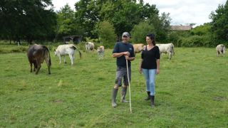 Fabrice Dubertrand et Caroline Gaubert sont des défenseurs de la race lourdaise, une race menacée qui compte 350 mères. Lui dresse les bœufs pour la traction animale, elle est secrétaire de l'association nationale de la race. Fabrice Dubertrand et Caroline Gaubert sont des défenseurs de la race lourdaise, une race menacée qui compte 350 mères. Lui dresse les bœufs pour la traction animale, elle est secrétaire de l'association nationale de la race.