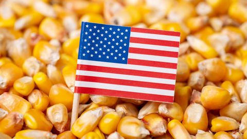 D'après l'USDA, la production américaine de maïs lors de la campagne 2025-2026 devrait tutoyer les 425 millions de tonnes, du jamais vu.