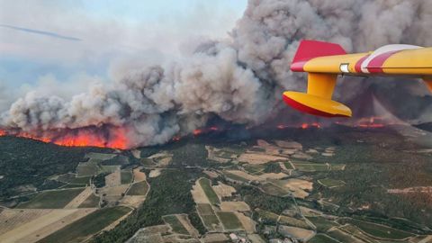 Sur les 16 000 ha que l'incendie inédit a ravagé dans l'Aude, les représentants agricoles du département estiment entre 1 000 et 1 500 ha la surface viticole fortement impactée.