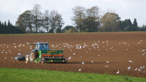 Quelle météo pour les semis de blé ?