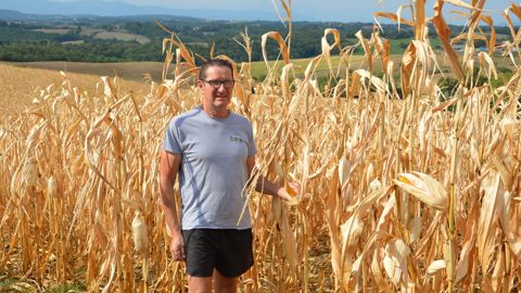 José Savoldelli, producteur de maïs en Ariège, anticipe une baisse de récolte de « 40 % au minimum » pour son maïs non irrigué.