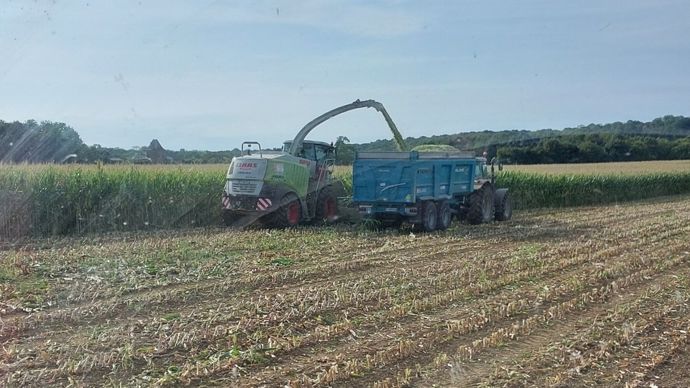 Les ensilages de maïs ont déjà débuté en Thiérache, dans le Nord chez Thomas.