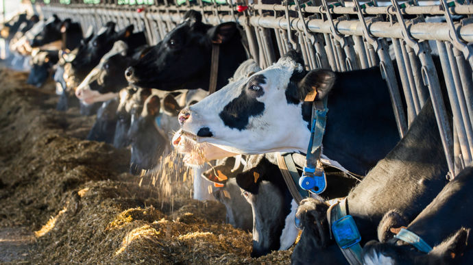 2025 a plutôt bien démarré en termes de ventes d'aliments du bétail, mais l'objectif de 20 Mt sera compliqué à atteindre dès cette année.