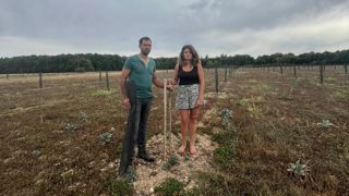 Marissa Bousselaire se tient avec son mari sur sa parcelle d'oliviers où 722 arbres ont été arrachés. Marissa Bousselaire se tient avec son mari sur sa parcelle d'oliviers où 722 arbres ont été arrachés.