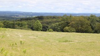 En Limousin,  Bourgogne et dans les Pays de la Loire, le déficit de la pousse cumulée d'herbe des prairies permanentes est presque partout supérieur à 25 %.