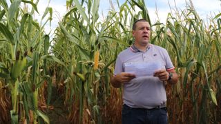 « La variété qui a obtenu le meilleur rendement avec 17,1 tonnes de MS/ha est en cours d'inscription », détaille NIcolas Jullier, de la chambre d'agriculture, le 27 août 2025 à Etréaupont, dans l'Aisne.
