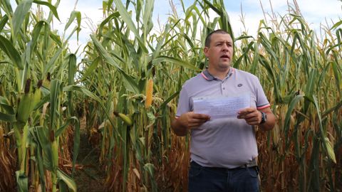 « La variété qui a obtenu le meilleur rendement avec 17,1 tonnes de MS/ha est en cours d'inscription », détaille NIcolas Jullier, de la chambre d'agriculture, le 27 août 2025 à Etréaupont, dans l'Aisne.