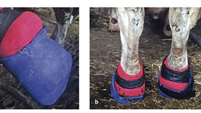 Un pansement peut se révéler très utile dans certaines situations, et parfois il n'est pas nécessaire, tout dépend de la pathologie et du contexte.