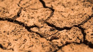 La hausse des températures est accentuée par la sécheresse des sols, impactant fortement les rendements des cultures. La hausse des températures est accentuée par la sécheresse des sols, impactant fortement les rendements des cultures.