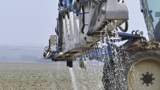 La fertilisation azotée minérale sur colza à l’automne est possible sous conditions, avec des ajustements régionaux dans le cadre des Par 7.