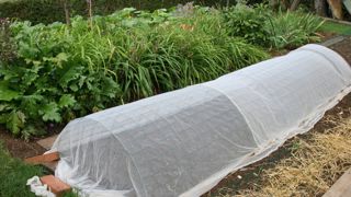 La pose de filets aux mailles les plus fines possibles reste une solution efficace pour lutter contre les invasions de mouches.