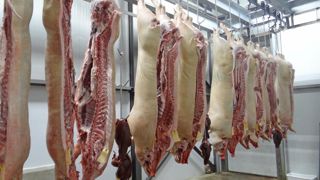 La Chine a annoncé le 5 septembre l'imposition de droits de douane provisoires sur les importations de porc en provenance de l'Union européenne, dans le cadre d'une enquête antidumping. La Chine a annoncé le 5 septembre l'imposition de droits de douane provisoires sur les importations de porc en provenance de l'Union européenne, dans le cadre d'une enquête antidumping.
