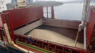 Les estimations officielles de production de blé se précisent partout à la hausse, dans l'hémisphère Nord comme au Sud. Les estimations officielles de production de blé se précisent partout à la hausse, dans l'hémisphère Nord comme au Sud.