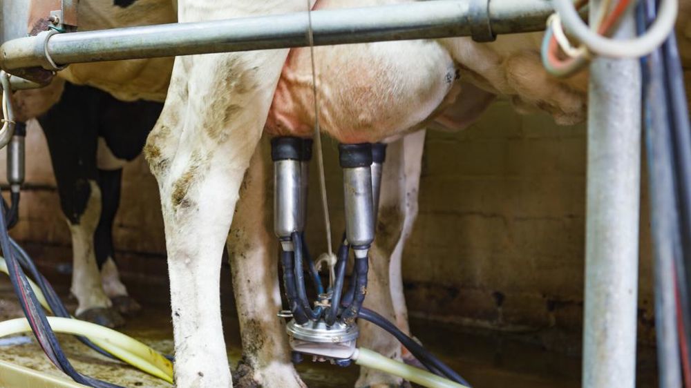 Les six premiers mois de l'année ont été relativement stables niveau collecte.