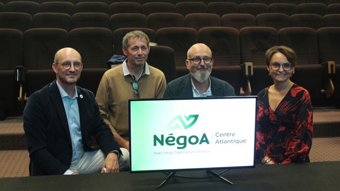 De gauche à droite, jeudi 4 septembre, à La Rochelle (Charente-Maritime) : Antoine Pissier, président de NégoA, Serge Marais, président du syndicat du négoce du Poitou, Christophe Prouteau, président de NégoA Centre Atlantique, et Stéphanie Bureau, présidente du groupe Isidore et administratrice du réseau.