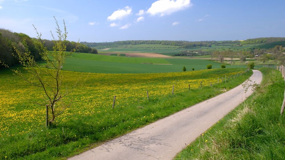 Comment contester la préemption d'une Safer