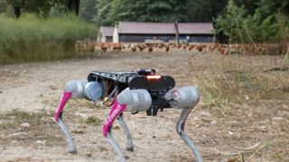 En plus de rentrer les volailles, le chien robotisé se charge d'éloigner les prédateurs. En plus de rentrer les volailles, le chien robotisé se charge d'éloigner les prédateurs.