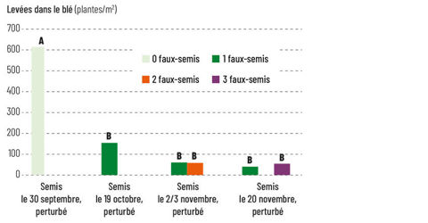 Levées de vulpin dans le blé en fonction de la date de semis de la culture et du nombre de faux-semis qui précèdent – 4 essais 2006-2007 dans la Marne (à Juvigny, Vraux et Isse)