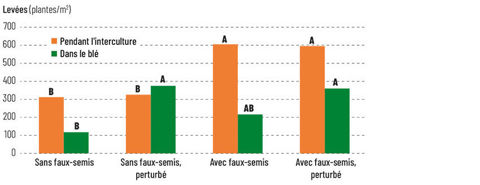 Levées de vulpin dans le blé en fonction de la date de semis de la culture et du nombre de faux-semis qui précèdent – 4 essais 2006-2007 dans la Marne (à Juvigny, Vraux et Isse)