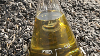 Le taux d’hexane quantifié sur les huiles alimentaires testées par Greenpeace était compris entre 0,04 et 0,08 mg/kg, contre un seuil réglementaire de 1 mg/kg. Le taux d’hexane quantifié sur les huiles alimentaires testées par Greenpeace était compris entre 0,04 et 0,08 mg/kg, contre un seuil réglementaire de 1 mg/kg.