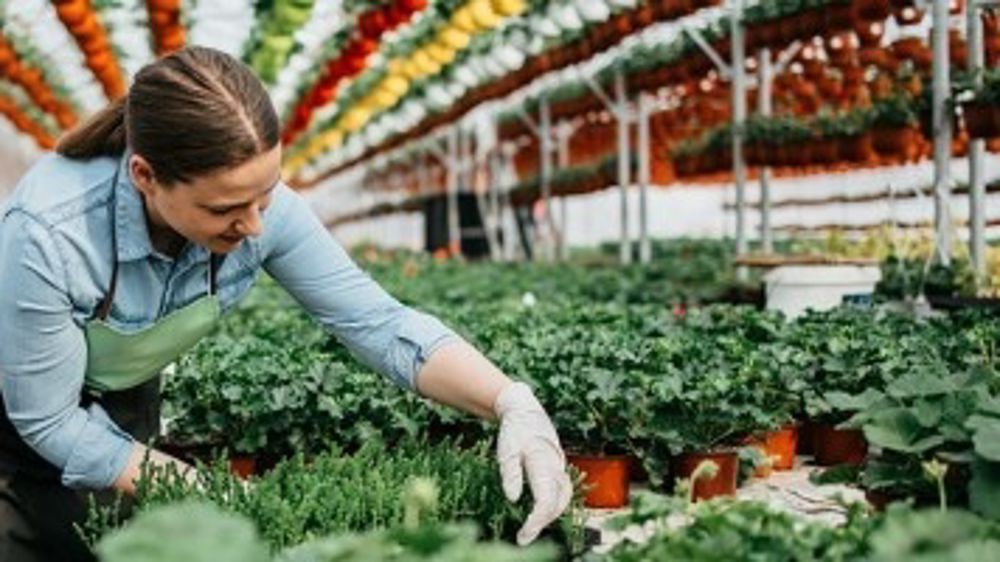 La compétition Agreen Start-up devient AgreenDéfi pour imaginer des solutions avec les IA pour les filières du végétal.