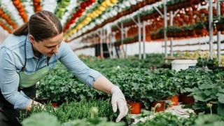La compétition Agreen Start-up devient AgreenDéfi pour imaginer des solutions avec les IA pour les filières du végétal. La compétition Agreen Start-up devient AgreenDéfi pour imaginer des solutions avec les IA pour les filières du végétal.