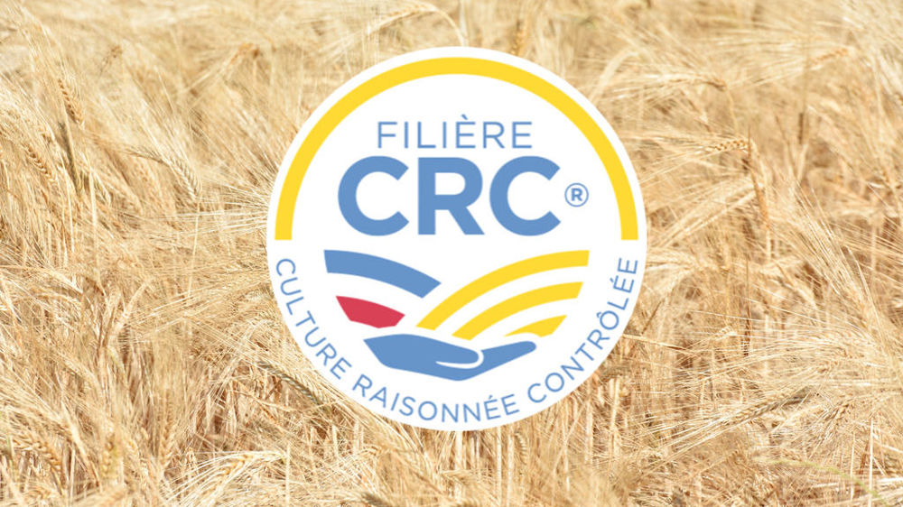 Plateau De Comptage De Grains - Outil Agricole Pour Riz, Blé - Plastique Robuste, 22x10 Cm