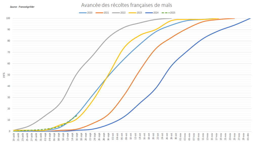 Les récoltes de maïs prennent de l'avance.