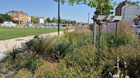 Roanne (42) décroche également une 4e Fleur cette année, portée, entre autres, par de très beaux aménagements en bord de Loire. Roanne (42) décroche également une 4e Fleur cette année, portée, entre autres, par de très beaux aménagements en bord de Loire.