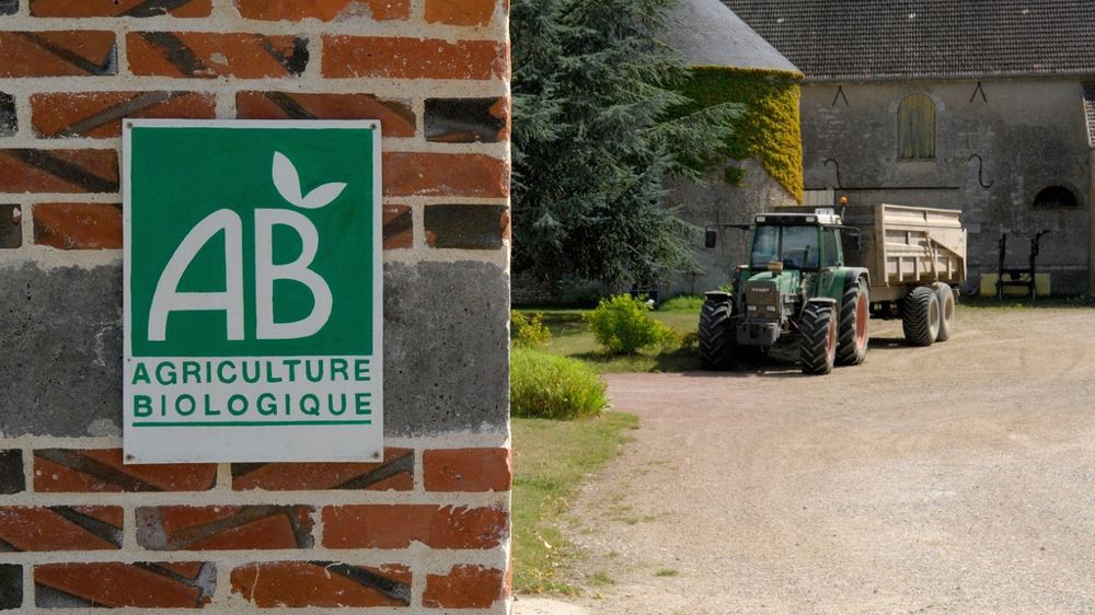 Exploitation agricole bio