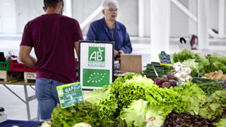Les producteurs bio sont 57 % à se déclarer insatisfaits du niveau de leurs revenus. Les producteurs bio sont 57 % à se déclarer insatisfaits du niveau de leurs revenus.