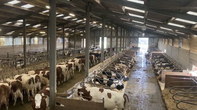 « Les maladies proviennent la plupart du temps d'une concentration d'animaux à un moment donné, ce qui augmente la pression infectieuse à un même endroit », d’après Loïc Maurin, vétérinaire conseil pour Innoval et GDS Bretagne, qui nous a donné ses conseils lors d’une interview au Space 2025.