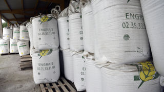L’Association générale des producteurs de blé (AGPB) a lancé un sondage sur le prix des engrais faisant suite à la mise en place de taxes visant les origines russes. L’Association générale des producteurs de blé (AGPB) a lancé un sondage sur le prix des engrais faisant suite à la mise en place de taxes visant les origines russes.