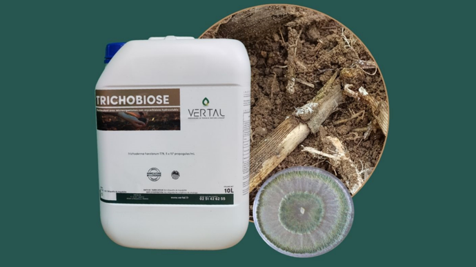 Vertal obtient l'homologation de Trichobiose, biostimulant du sol.