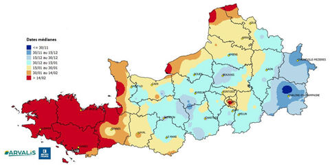 Dates médianes d’apparition du gel (< -5°C) entre le 1er octobre et le 1er mars sur le bassin de production du lin (médiane 2004-2024)