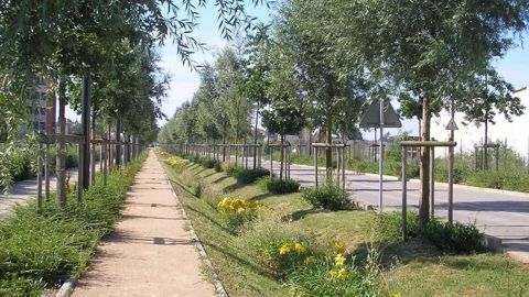 Le projet N'Oups (2022-2024) vise à mieux prendre en compte les fonctionnalités écologiques assurées par les noues végétalisées. Le projet N'Oups (2022-2024) vise à mieux prendre en compte les fonctionnalités écologiques assurées par les noues végétalisées.