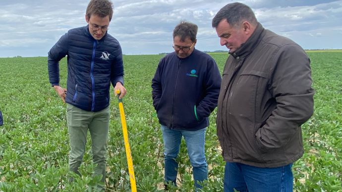 Le pack Sécurité de l'offre OptiperformanceS de Noriap apporte des informations réglementaires en continu et des rappels d'usages à des stades clés des cultures.