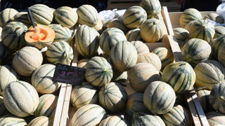 Les produits sahraouis bénéficieront des mêmes droits de douane que les produits marocains. (Photo d'illustration). Les produits sahraouis bénéficieront des mêmes droits de douane que les produits marocains. (Photo d'illustration).