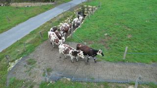 Des chemins de ferme durables grâce aux dalles alvéolées renforcées 