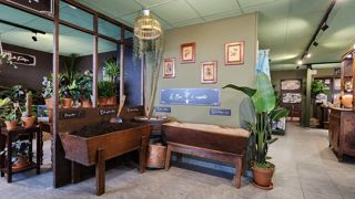 Le nouveau modèle de point de vente Arbres & Co mise sur le service et le conseil. Le client est accompagné dans son projet, il fait sa shopping-list de végétaux qui lui sont livrés chez lui. Le nouveau modèle de point de vente Arbres & Co mise sur le service et le conseil. Le client est accompagné dans son projet, il fait sa shopping-list de végétaux qui lui sont livrés chez lui.